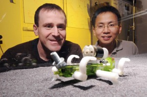 Georgia Tech professor Daniel Goldman and postdoctoral fellow Chen Li watch a robot traverse a track bed of poppy seeds as part of a study into how animals and robots move on granular surfaces. (Georgia Tech Photo: Gary Meek)