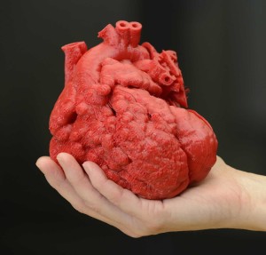 3D Model of Child's Heart (Photo Credit: Norton Healthcare, Jamie Rhodes)
