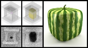 The concept of casting nanoparticles inside DNA molds is very much alike the Japanese method of growing watermelons inside cube-shaped glass boxes. Credit: Harvard's Wyss Institute / Peng Yin