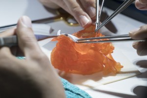Leveraging BioMimics, surgical trainees practice on 3D printed heart with congenital defect. (Photo: Business Wire)