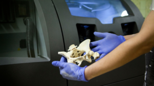 Anatomic models, surgical guides, titanium implants, prosthetics, and bioprinted tissues, additive manufacturing is poised for major impact in medical.