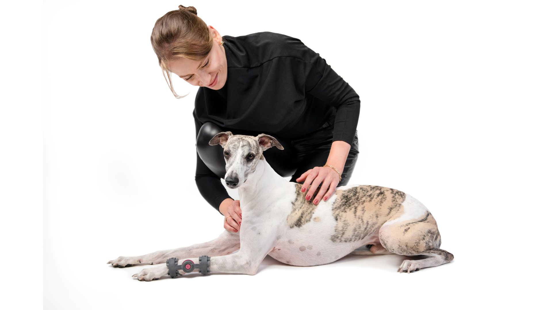 Krakow-based start-up Wimba is set to manufacture individual orthotic and prosthetic medical devices for dogs with HP Multi Jet Fusion.